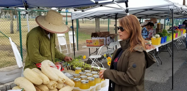 A middle-aged woman visits a booth at a farmers market.