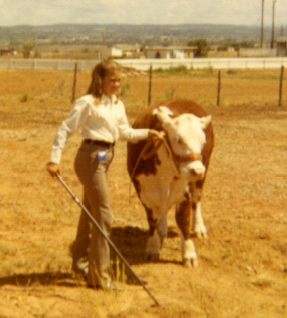 Young woman with a steer at a county fair