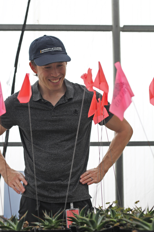 Middleton grins as he looks down on a test plot marked with red flags.