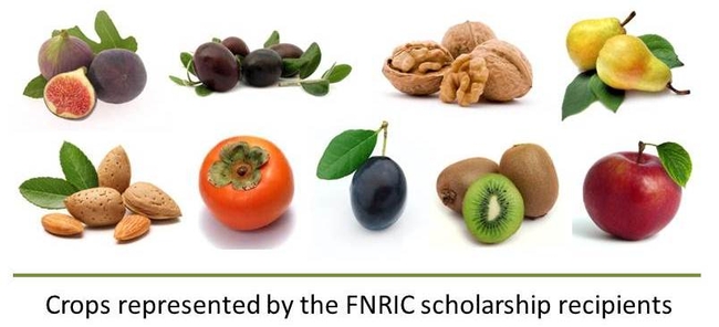 Crops grown by scholarship recipients including almond, walnut, prune, olive, persimmon, fig, apple, pear, and kiwifruit.