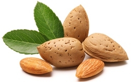 Drawing of almonds and a leaf.
