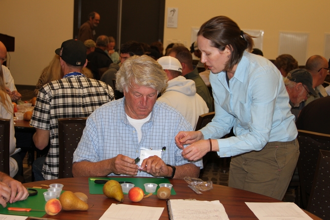 Instructor Brooke Jacobs during hands on flower and fruit dissection.