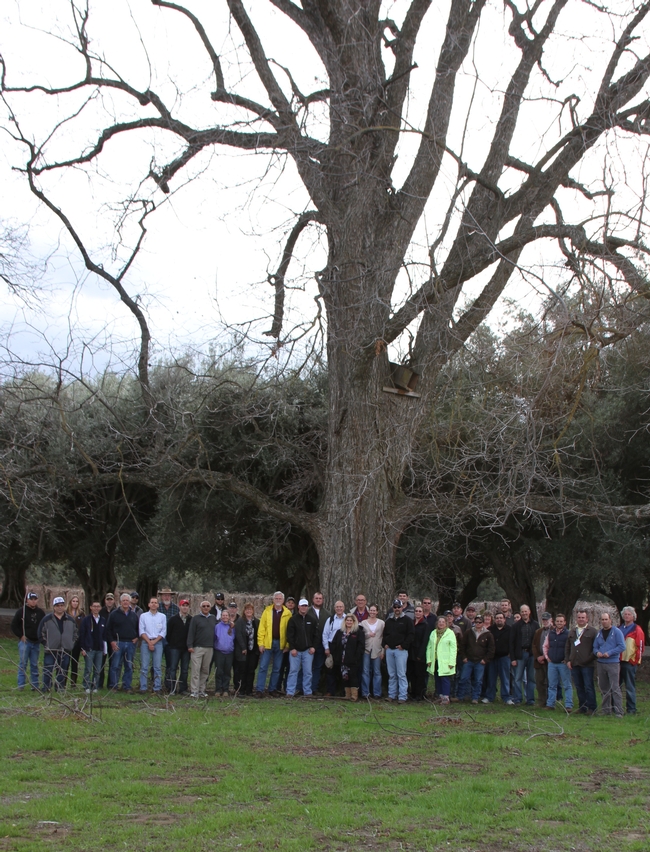 Principles of Fruit and Nut Tree Growth, Cropping and Management 2014 class picture