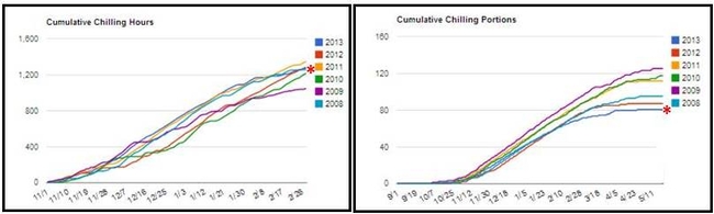 Chill accumulation curves for CIMIS station #71 in Modesto, CA as calculated by the traditional chill hour model (left) and the dynamic model (right) over the past six winters. The asterisk shows final chill accumulation estimates for this year as of February 28th, 2014.