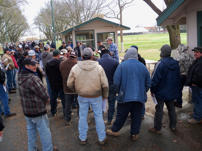 Group of growers and farm workers gathered around to learn about pesticide safety