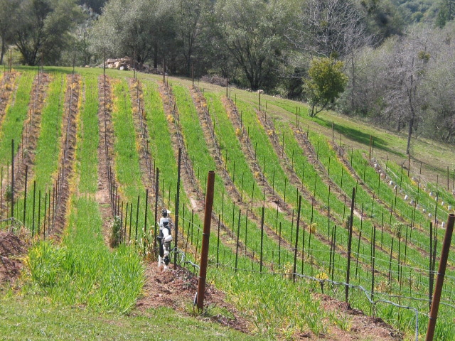 Straw Bale Wattles can be placed strategically within a slope.