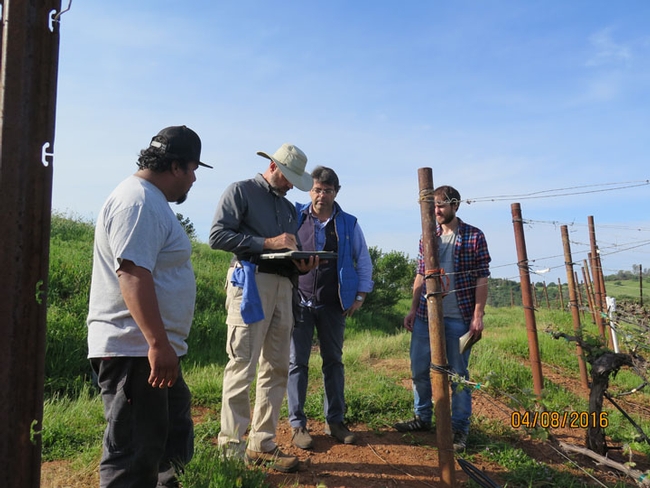 Group of men around vineyard irrigation.