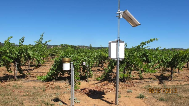 A weather station in a grape vineyard