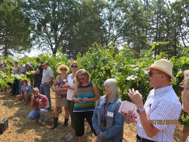 A group of people in a vineyard listening to a professor speak.
