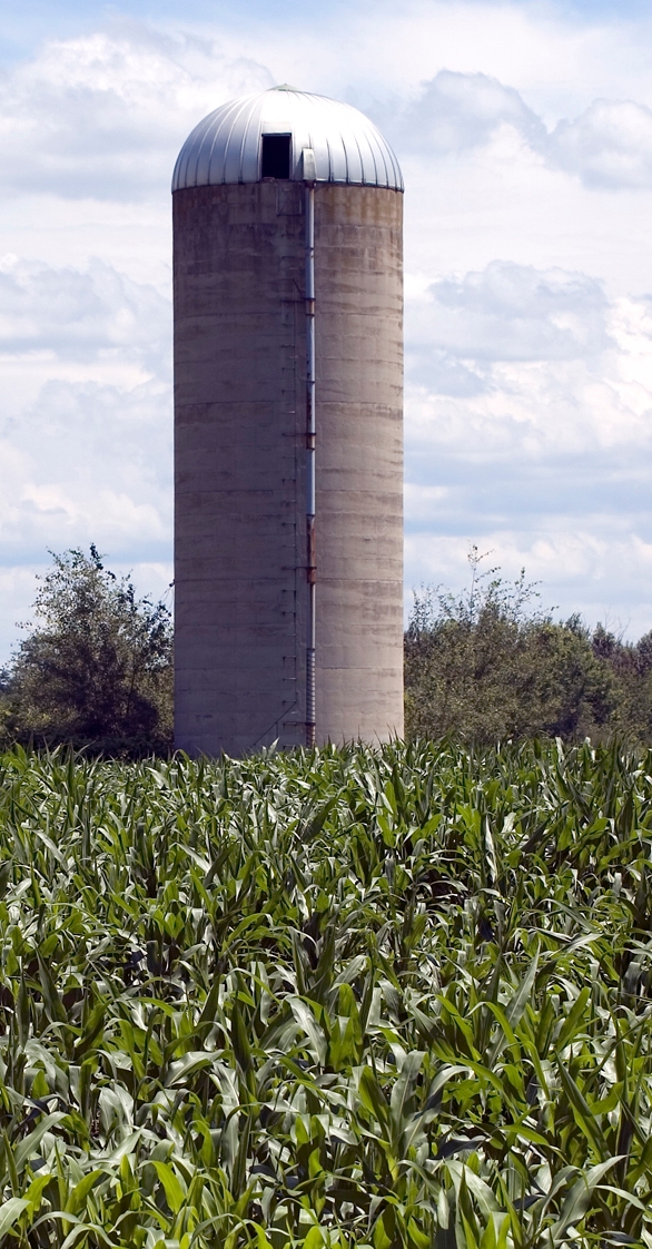 A picture of a grain silo with corn in front of it.