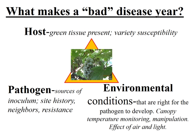 a diagram showing the components of the disease triangle: host, pathogen, environment