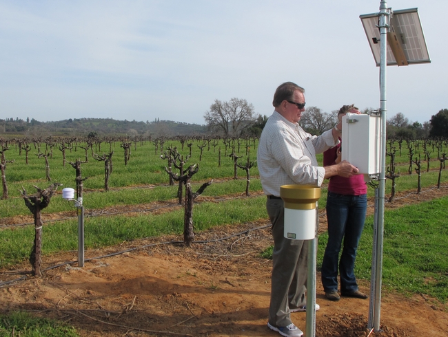 A man inspecting a weather station in a vineyard.