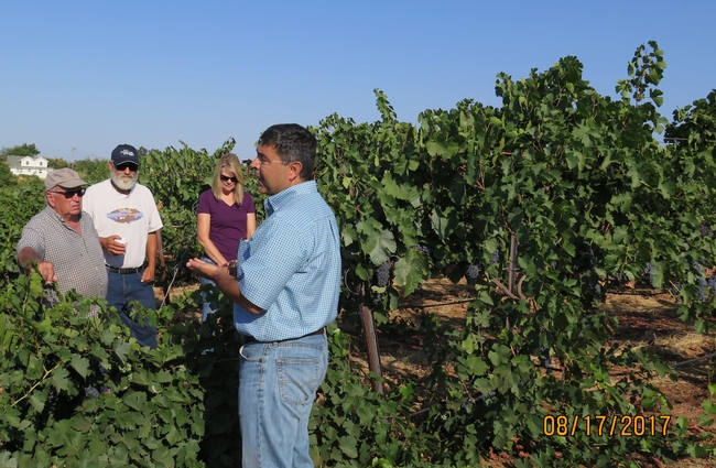 A man speaking to a group of people in a vineyard.