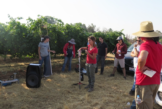 A woman with a pressure chamber in a vineyard.