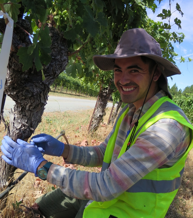 A latino man kneeling by a grapevine with a big smile on his face. He's wearing a reflective safety vest.
