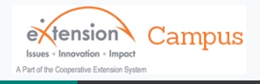 The logo for eXtension website
