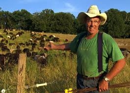 Joel Salatin with some cows