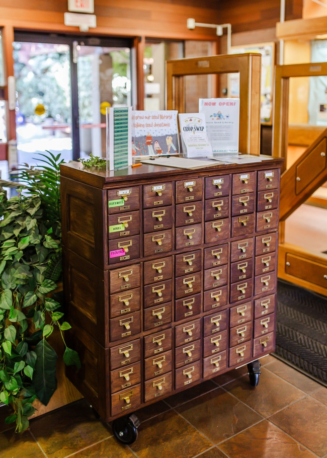 A vintage oak card catalog houses the seed library in the Clovis public library. (All photos: Sarah del Pozo)