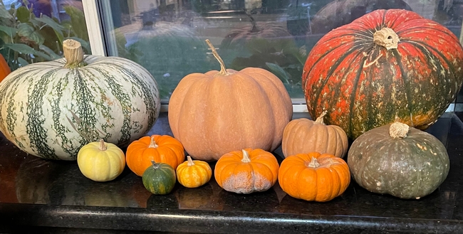 Pumpkins