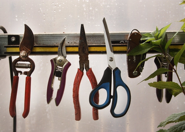 When shopping for the holidays, consider gifts of gardening tools. (Photo: Alabama Extension)