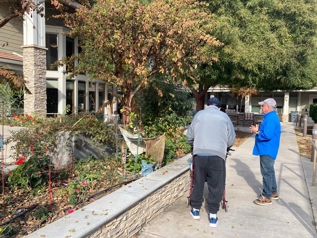 MG Charlie Hindes talks to a World War II and Korean War veteran who maintains this garden. (Photos: Jeannette Warnert)