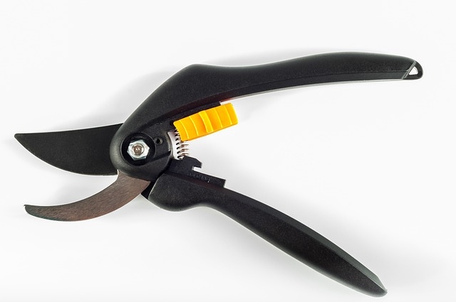 Invest in good-quality pruning shears and take good care of them for most successful pruning. (Photo: Pixabay)