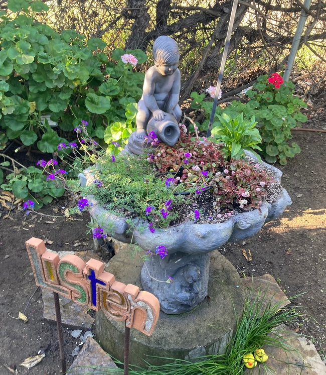 A fountain filled with perennial flowers.