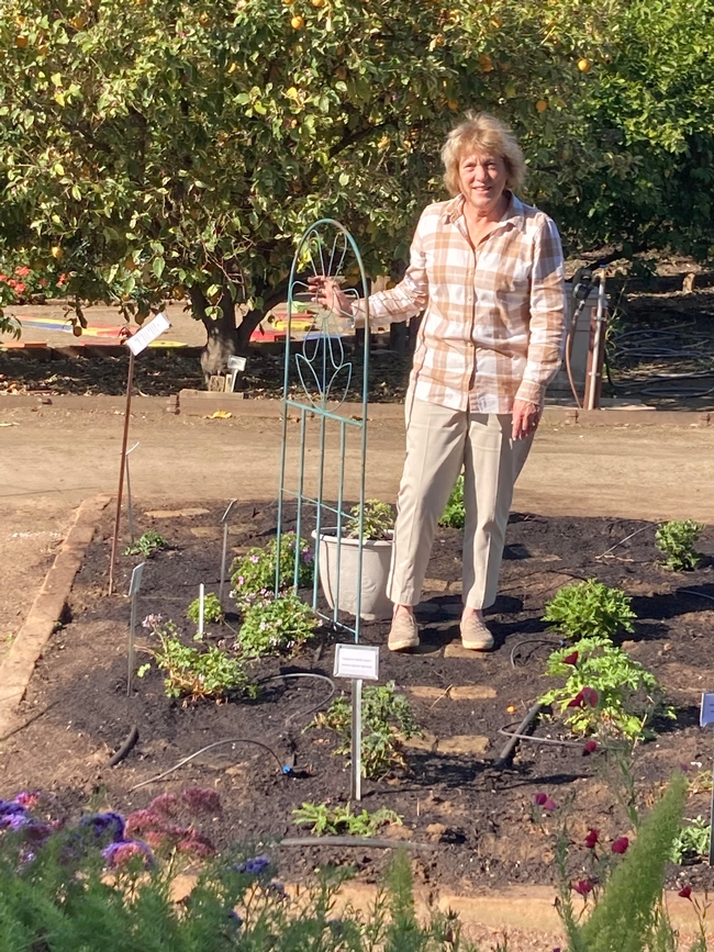 Emily LaRue in the newly planted garden bed that features pelargoniums, or scented geraniums. (Photo: Jeannette Warnert)