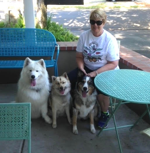 Karen Basso takes a break at a coffee shop walking her late dog, left, and a friend's dog. (Photos: Karen Basso)