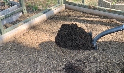 Building soil makes gardening more successful. (Photo: Randy Thomson)