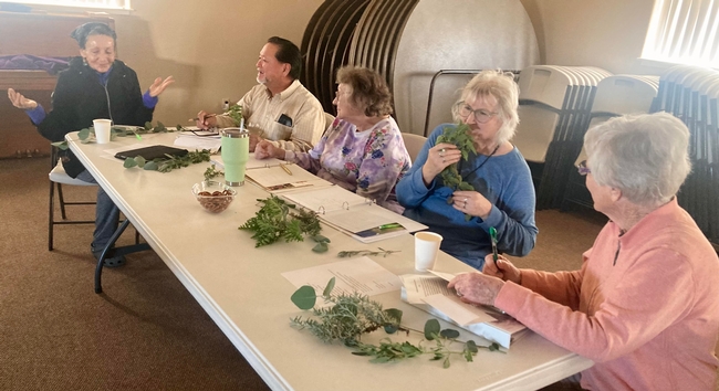 Members of the Caruthers Garden Club enjoy fragrant plant samples. (Photo: Jeannette Warnert)