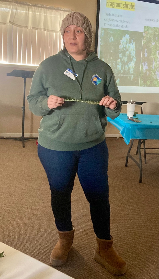 Master Gardener Alexis Valentin holds a sprig of rosemary, a highly fragrant herb that grows well in Fresno County gardens. (Photo: Jeannette Warnert)