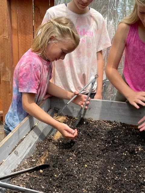 Kids love the worms in the vermicomposting area.