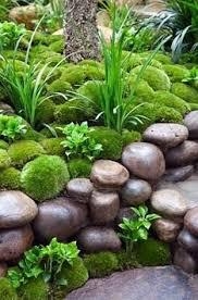 How to Keep Moss Alive — Our Top Tips Growing moss is much more than a  trend. It has practical advantages. It is used by f…