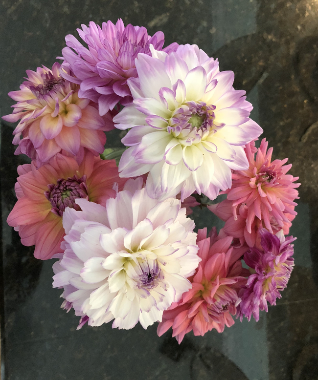 Dahlias make great bouquets