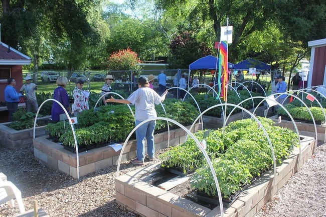Rivertown Garden UC Master Gardener Program of Contra Costa