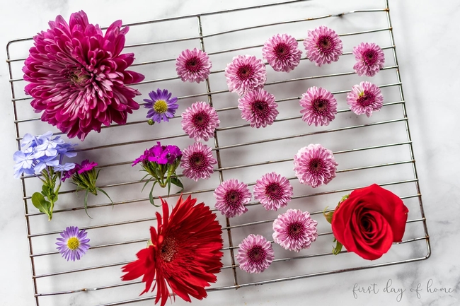 How-to-Dry-Flowers-5-Ways-7