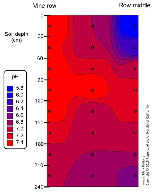 Soil pH increase in the vine row after a decade of drip irrigation. The 240 cm depth is equivalent to 8 feet.