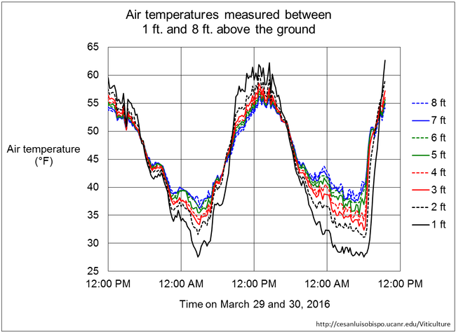Figure 2. Air temperature profile over two recent cold nights, measured over a low-growing grass surface in Santa Barbara County.