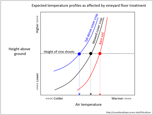 Figure 5. Expected air temperature profiles as affected by vineyard floor management.