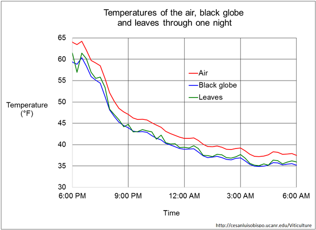 Figure 8. Comparison of temperatures of the air, grape leaves, and black globe at night. The black globe tracks exposed leaf temperatures fairly well.