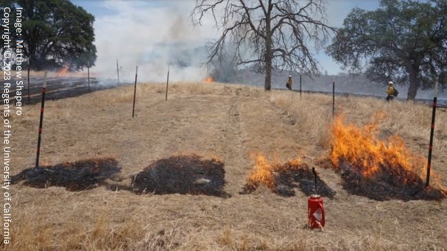 Figure 1. Increased grazing lowers the fuel level and fire intensity.