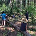 Forest Stewardship workshop participants at an El Dorado County field day. Credit: K.Ingram.