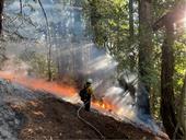 Professional foresters, forest managers and fire practitioners will gather for prescribed fire training. Photo by Barbara Satink Wolfson