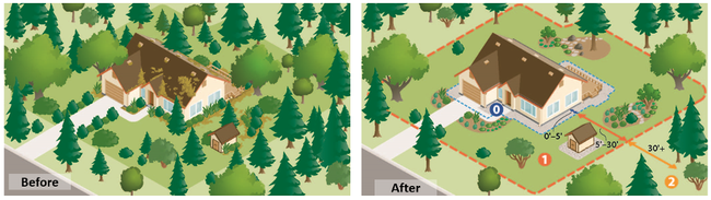 Illustrations of a house before and after vegetation around the structure has been removed.