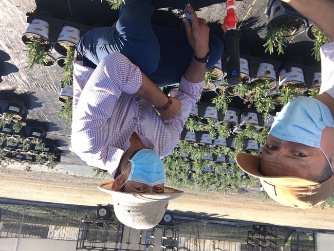 Two men hunched down in front of plants, posing for the camera wearing hats and face masks.