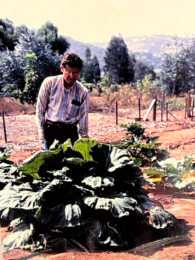 A middle aged man stands behind a plant with large leaves.