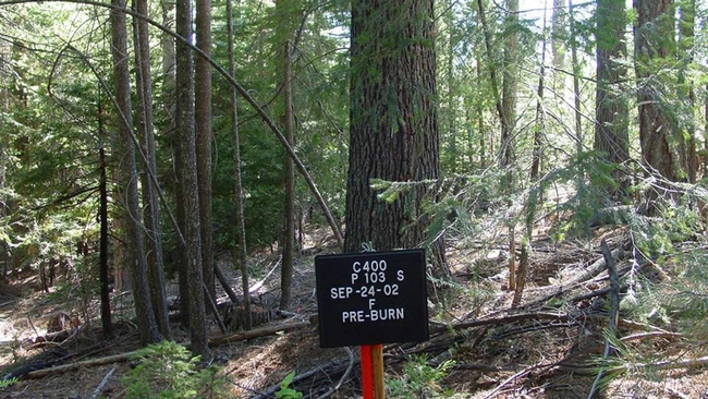 Sign in forest reads: C400, P 103 S, Sep-24-02, F, pre-burn