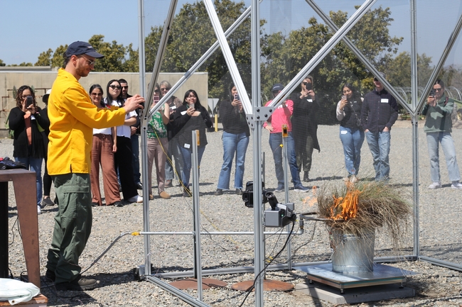 A group of people observe a dry grassy plant in a metal bucket flaming inside a metal enclosure.