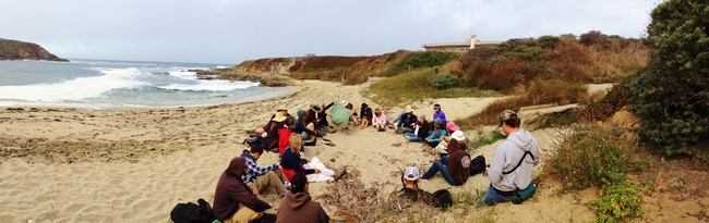 California Naturalist students take a field trip to Bodega Bay to learn about wildlife.